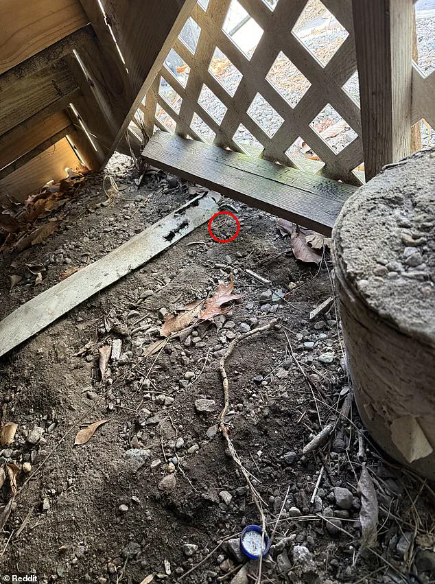 Man's Viral Reddit Quest to Recover Lost Wedding Band Highlights Power of Online Communities