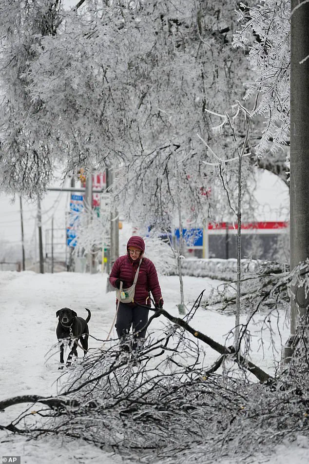 Historic Winter Storm Fern Unleashes Chaos, Claims 16 Lives, Leaves 830,000 Without Power as Nation Grapples with Unprecedented Crisis