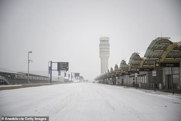 Exclusive Access to Flight Cancellation Details Revealed as Passengers Left in Limbo