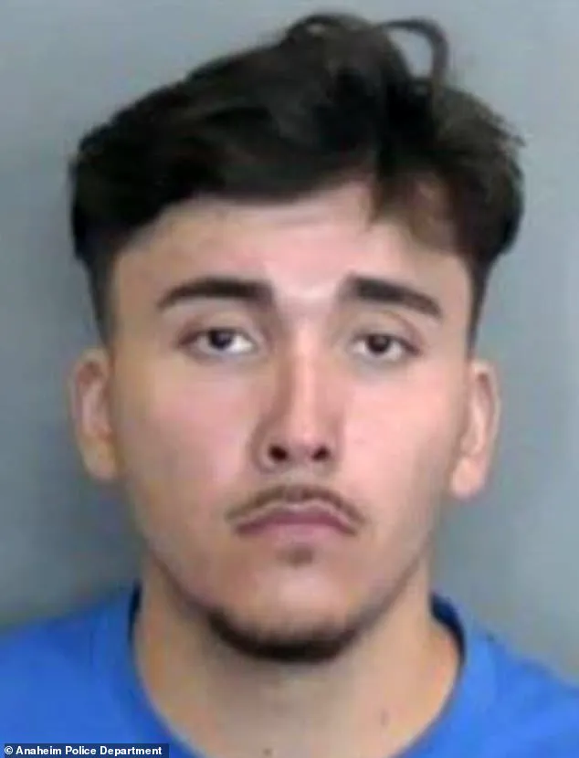Tragic DUI Crash in Anaheim Claims Life of Pregnant Woman and Unborn Child; Driver Charged with Vehicular Manslaughter