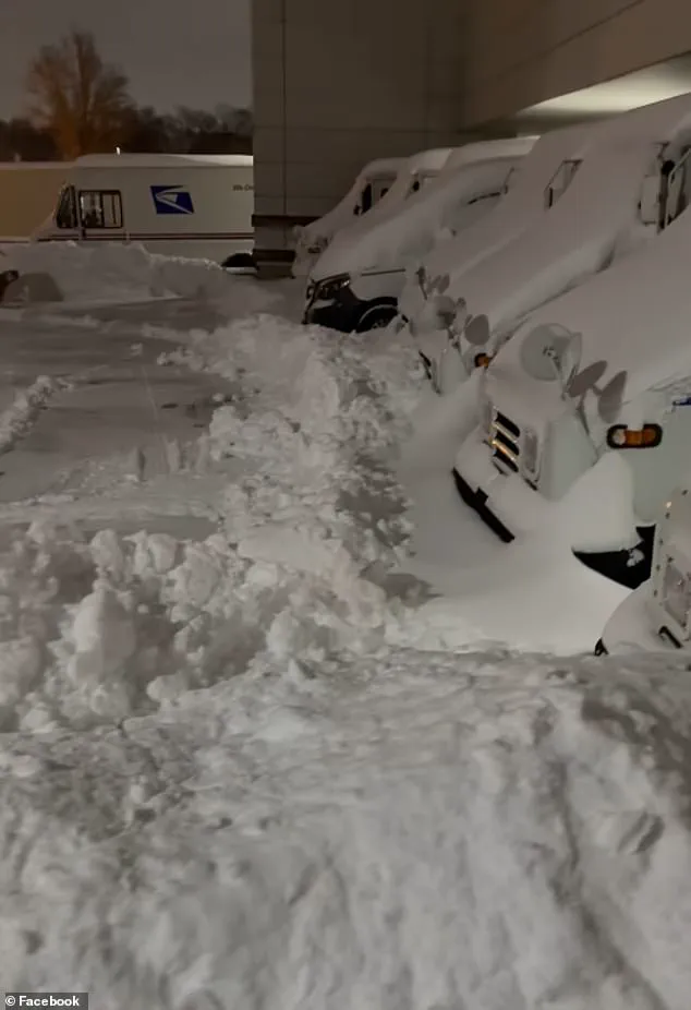 Exclusive Exposure: The Hidden Reality of USPS Operations Revealed in Viral Video
