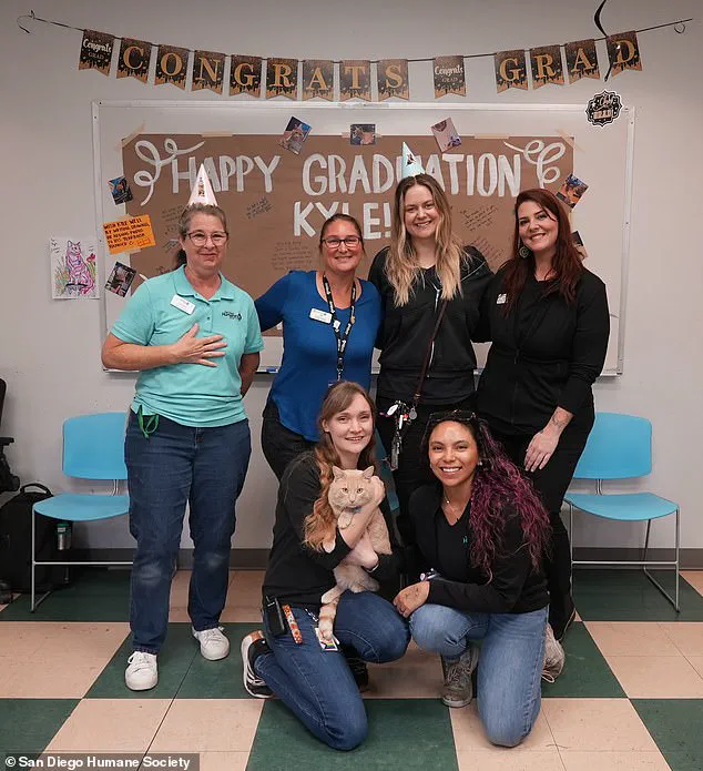 San Diego Humane Society Marks End of Quarantine for Rescued Cat Kyle, Highlighting State Law Compliance and Recovery Success