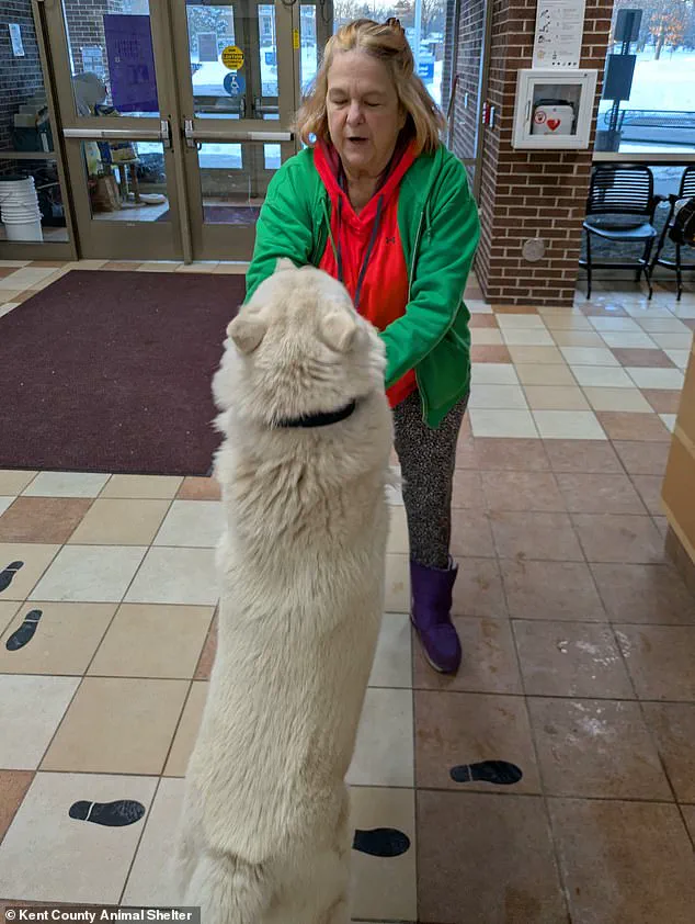 Exclusive: After 14 Months, Michigan Woman Reunites with Missing Puppy Walker