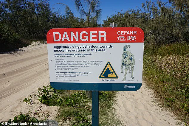 TikTok Video Sparks Debate Over Safety Protocols on K'gari Amid Backpacker's Death