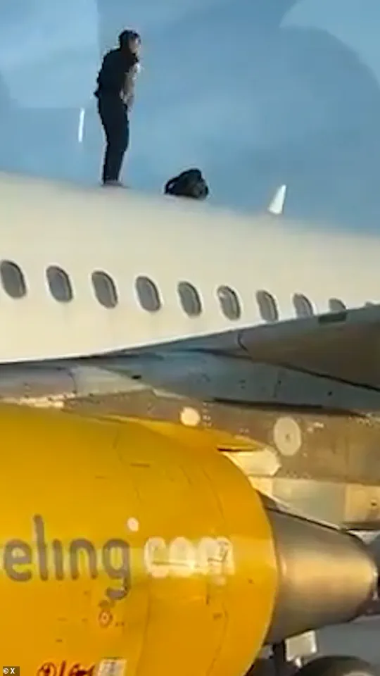 Chaos at Manises Airport as Man Drinks and Taunts Crew During Flight Delay