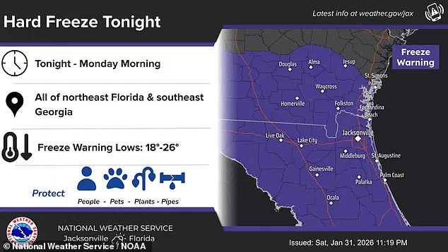 Florida Braces for Record-Breaking Cold as Bomb Cyclone Unleashes Winter Crisis in the Southeast