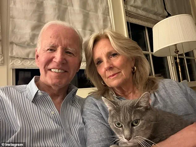 William Stevenson Charged with Murder of Wife, Former Spouse of Jill Biden