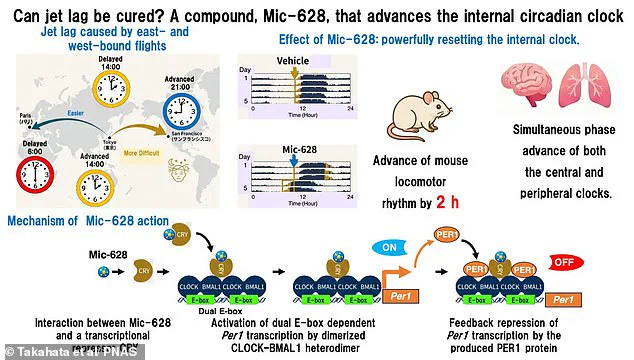 Breakthrough Drug Mic-628 Targets Per1 Gene to Combat Jet Lag and Sleep Disorders