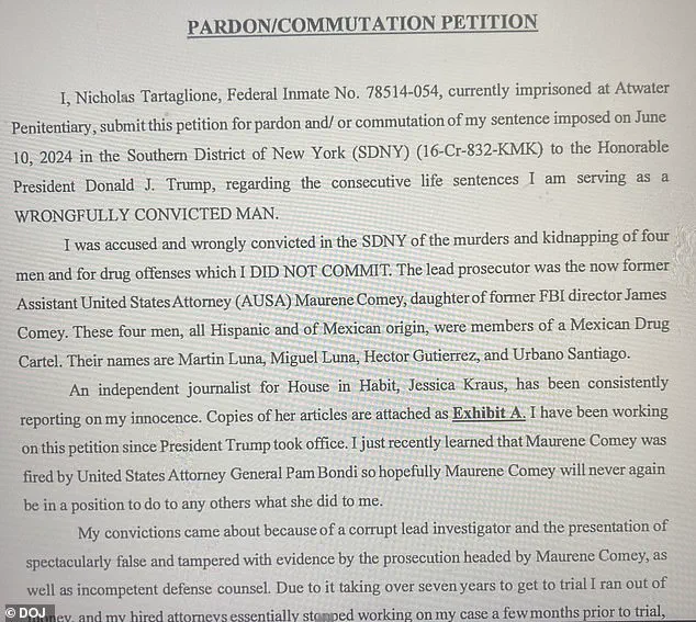 Government Conspiracy in Epstein's Death: Tartaglione's Prison Claims Exposed