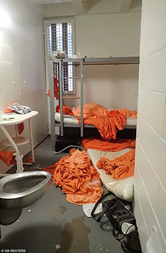 Government Conspiracy in Epstein's Death: Tartaglione's Prison Claims Exposed