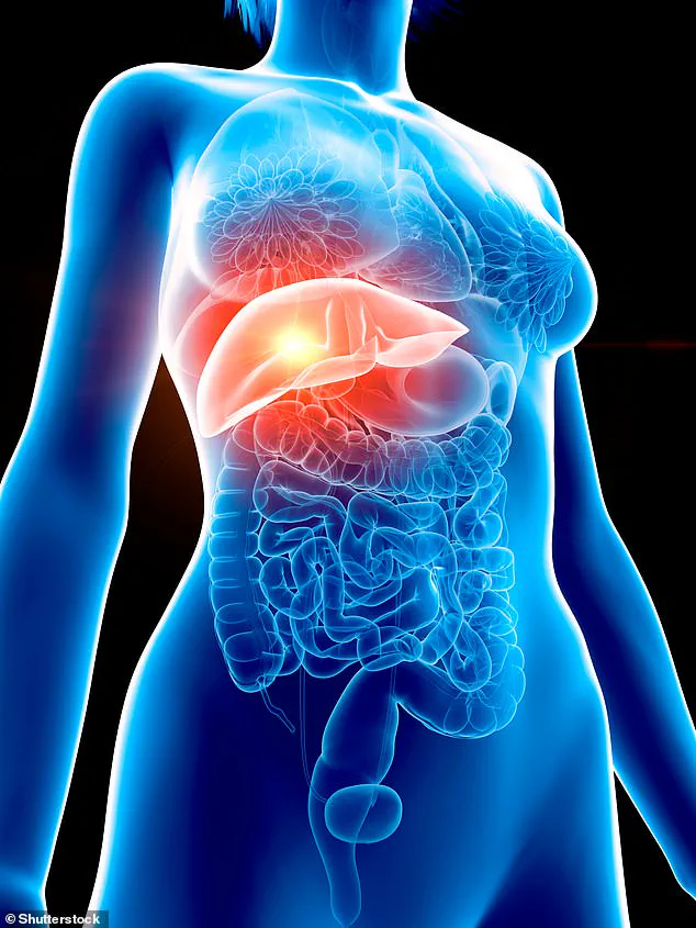 Menopause Misdiagnosis Reveals Hidden Liver Disease Linked to Obesity