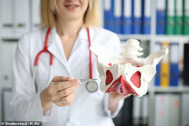 40% of UK Women Live with Urinary Incontinence, Stress Type Most Common and Underreported