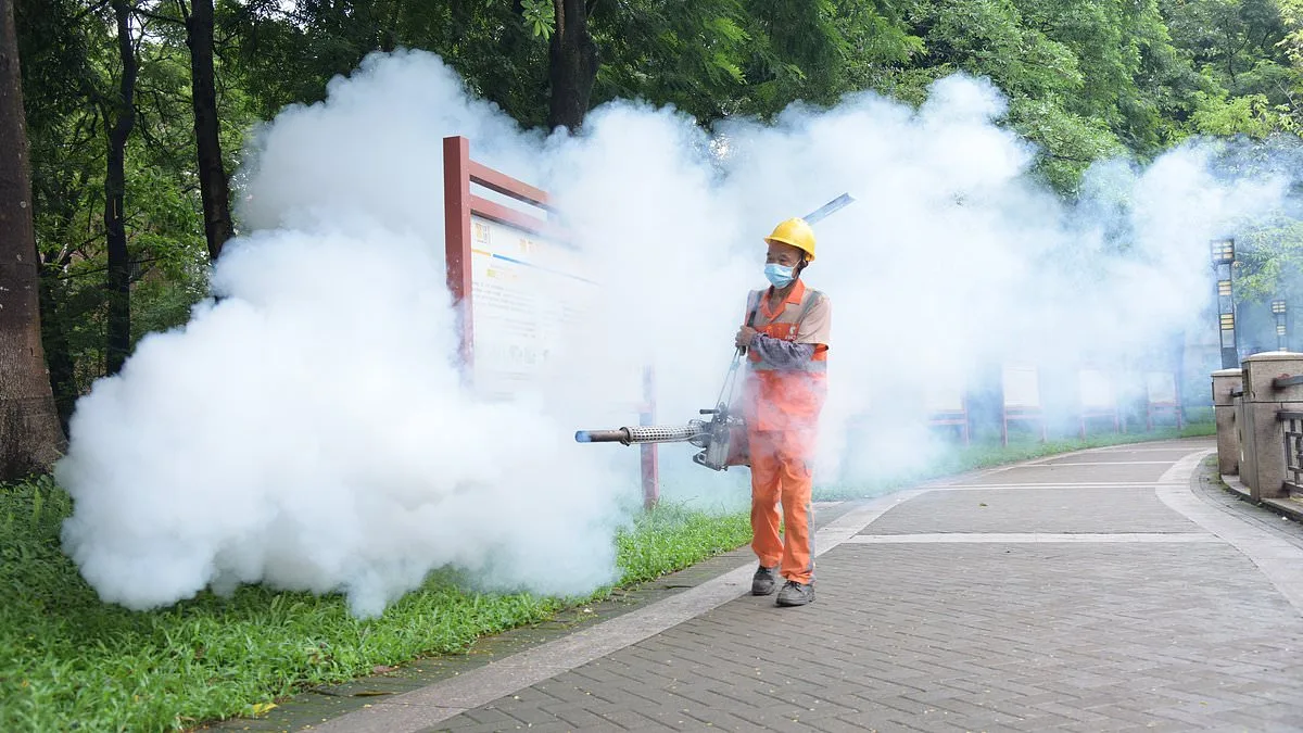 CDC Issues Level 2 Advisory for Seychelles and Suriname Amid Chikungunya Surge, Urging Travelers to Take Precautions
