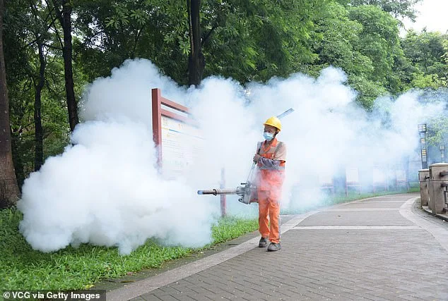 CDC Issues Level 2 Advisory for Seychelles and Suriname Amid Chikungunya Surge, Urging Travelers to Take Precautions