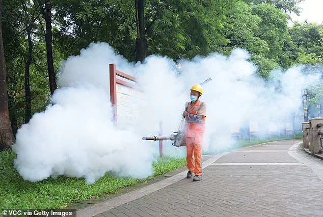 CDC Issues Level 2 Advisory for Seychelles and Suriname Amid Chikungunya Surge, Urging Travelers to Take Precautions