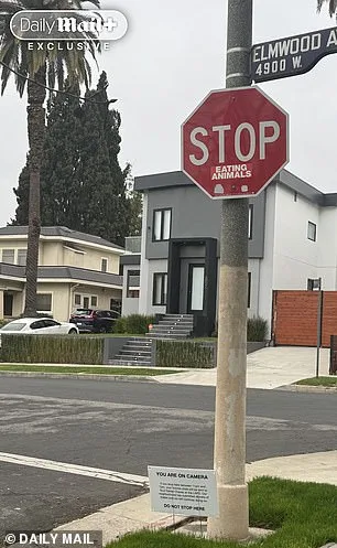 Larchmont's Hidden Crisis: Shadow Economy Thrives in Hollywood Glamour's Shadow