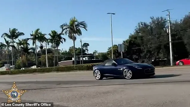 Miraculous Escape: Florida Jaguar Crash Avoids Tragedy as School Bus Driver Walks Away Unharmed