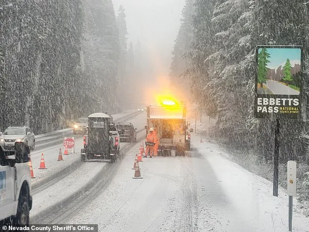 Nine Missing After Avalanche Strikes California Backcountry Ski Group