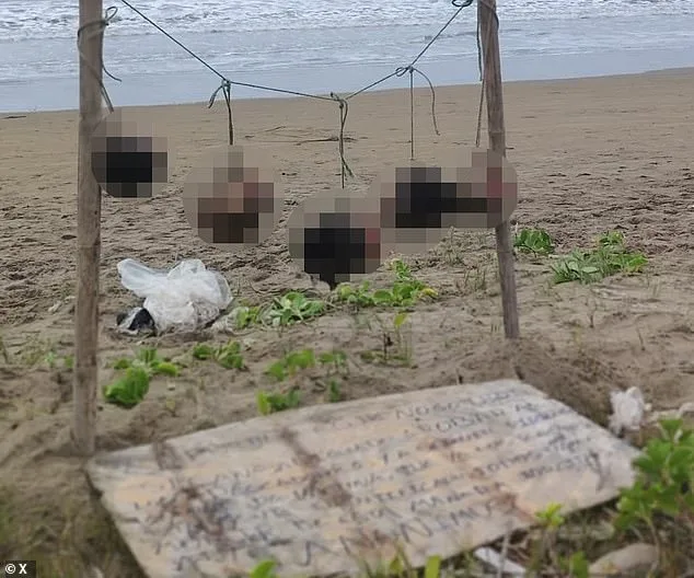 Severed Heads in Ecuador's Guayas Province Linked to Escalating Gang Violence and Drug Rivalries