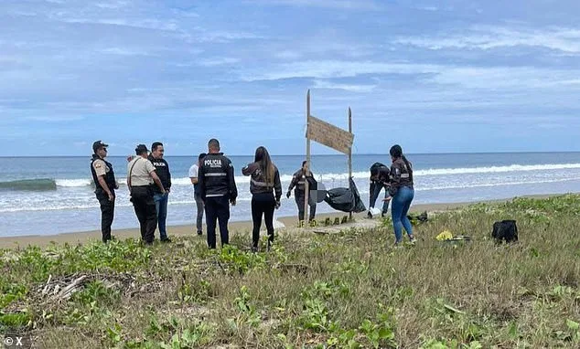 Severed Heads in Ecuador's Guayas Province Linked to Escalating Gang Violence and Drug Rivalries