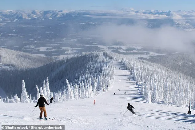 Snow Drought Forces Washington Ski Resorts into Crisis, Raising Questions About Industry's Future