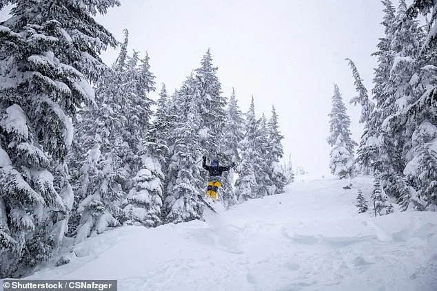 Snow Drought Forces Washington Ski Resorts into Crisis, Raising Questions About Industry's Future
