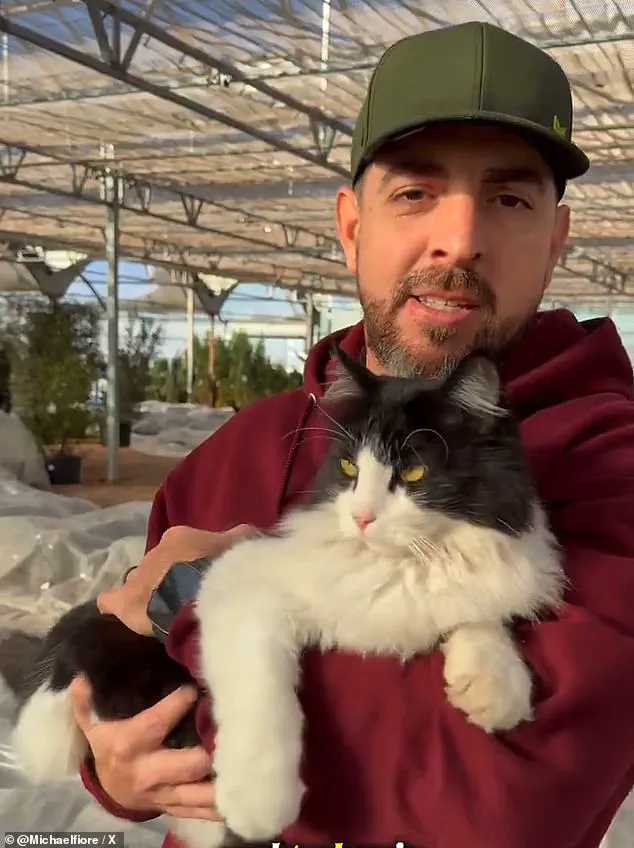 Sylvester the Cat: From Wichita Falls Garden Center to Internet Fame as Unlikely Pest Control Hero