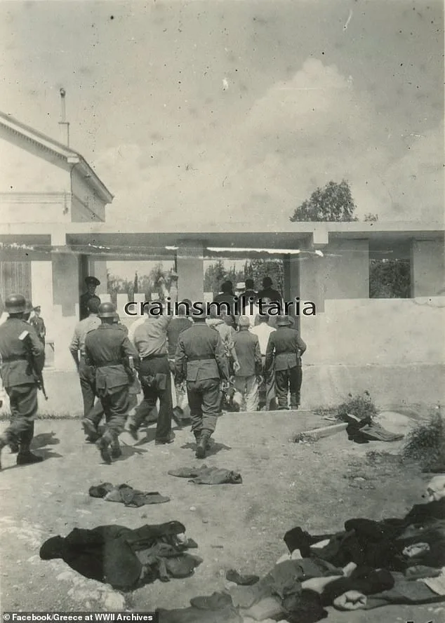 Unseen photos capture final moments of 200 Greek communists executed by Nazis 82 years later