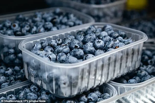 FDA Escalates Blueberry Recall to Highest Risk Level Over Listeria Contamination