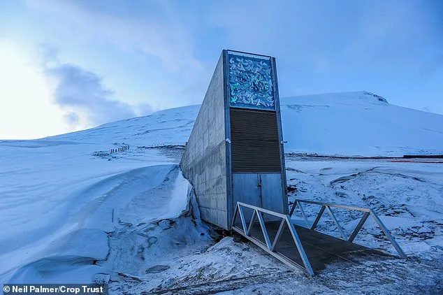 Svalbard Global Seed Vault Expands with 7,800 New Varieties, Strengthening Global Food Security