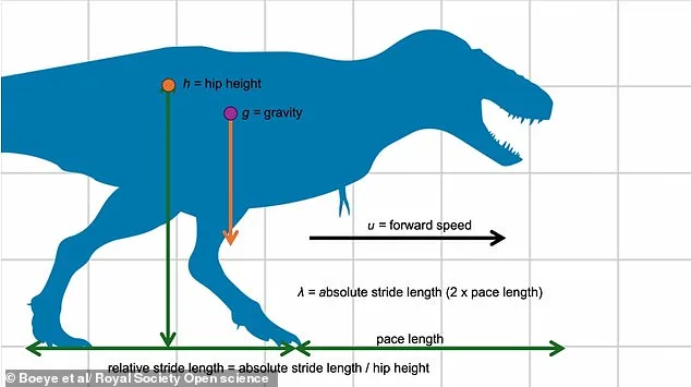 T. rex May Have Moved with Grace, Not Thunderous Stomps: New Research Challenges Iconic Depictions