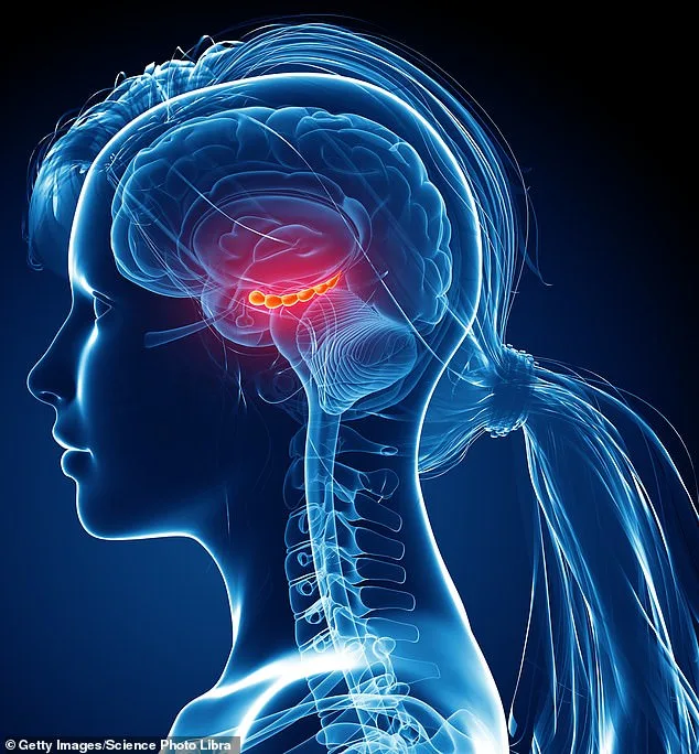 From Static to Dynamic: The Surprising Truth About the Brain's Ability to Heal and Regenerate