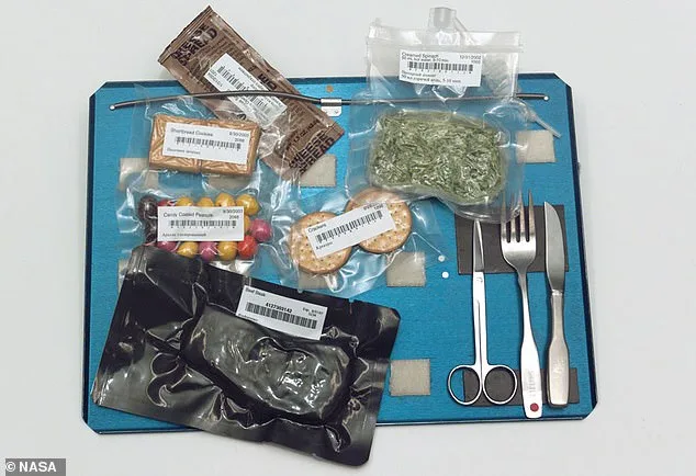 Balancing Flavor and Function: NASA's Artemis II Lunar Menu