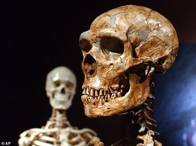 Reconstructing the Lost Languages of Ancient Humans: A Breakthrough in Decoding Prehistoric Voices