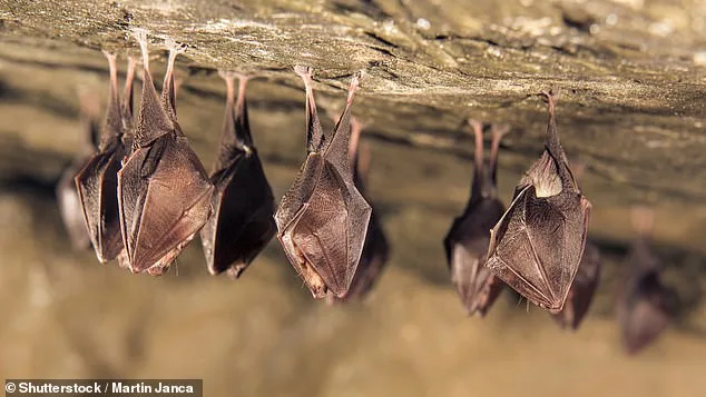 Study Reveals Most Pandemic Viruses Originated in Animals, Except for 1977 H1N1 Linked to Lab-Grown Strains