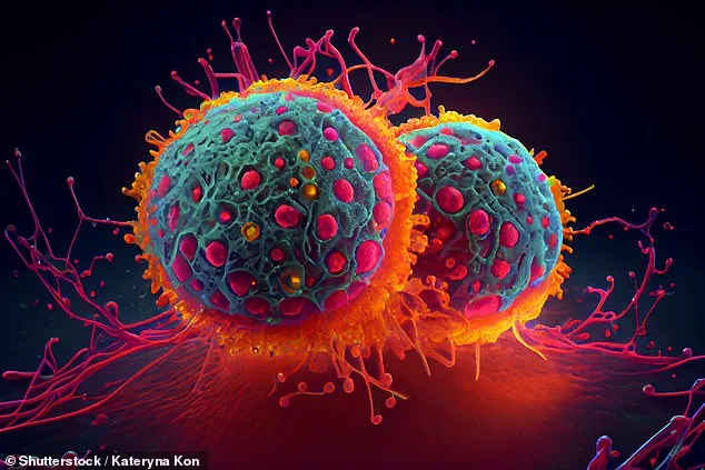 Anti-Aging Treatments May Accelerate Cancer, Study Warns