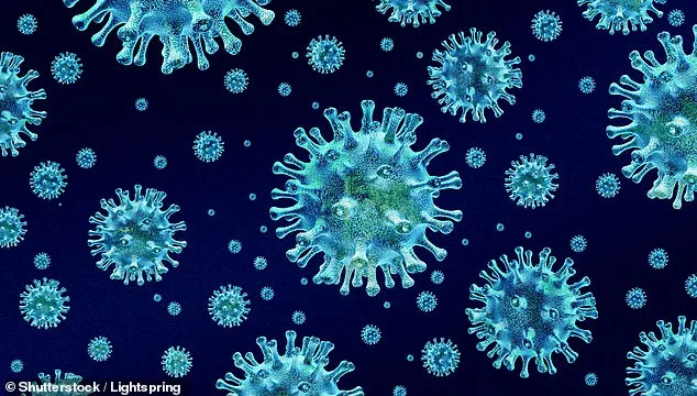 Humble $0.60 Seaweed Pack May Hold Key to Combating Norovirus, Researchers Discover