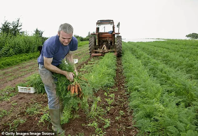 The USDA Organic Label: Not All That It Seems