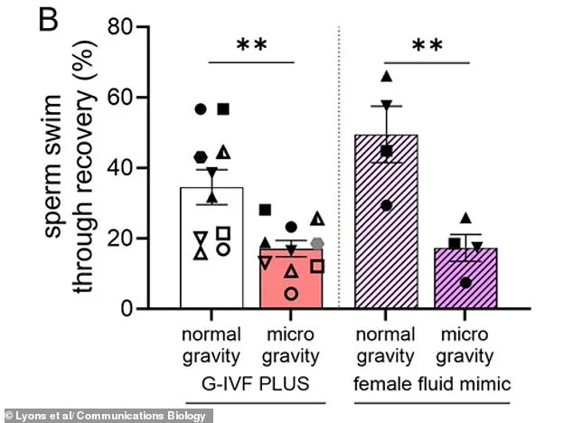 Microgravity Impairs Sperm Navigation, Raising Concerns for Space Colonization