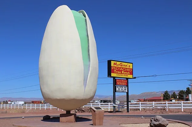 Pistachios in the Spotlight: From Niche Snack to Luxury Icon – The Health and Labeling Debate
