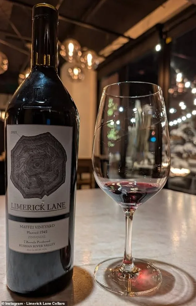 A Legacy Reclaimed: Karen Francis DeGolia's Journey from Tragedy to Triumph at Limerick Lane Cellars