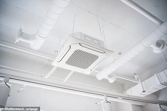 TikTok's Office Air Theory Sparks Debate Over Workplace Health and Air Quality