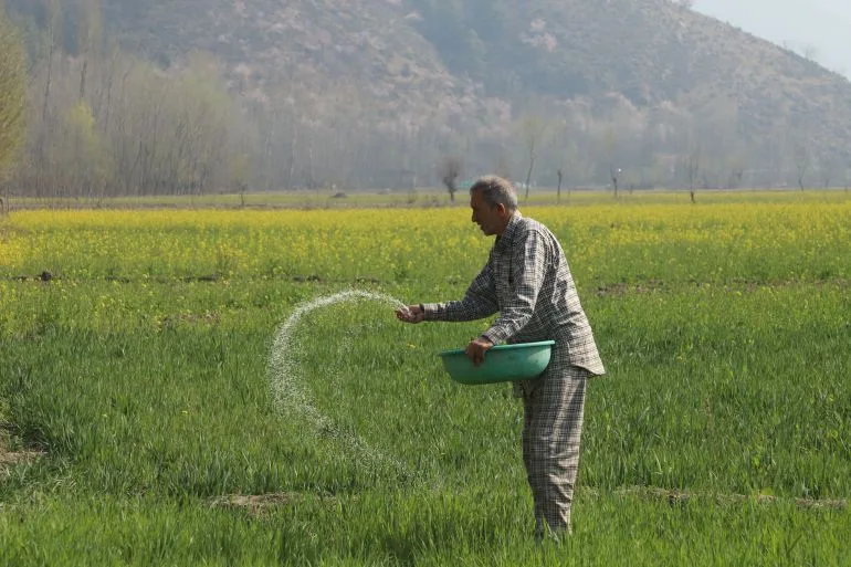 Fertilizer Crisis Casts Shadow Over South Asian Farmers' Harvests