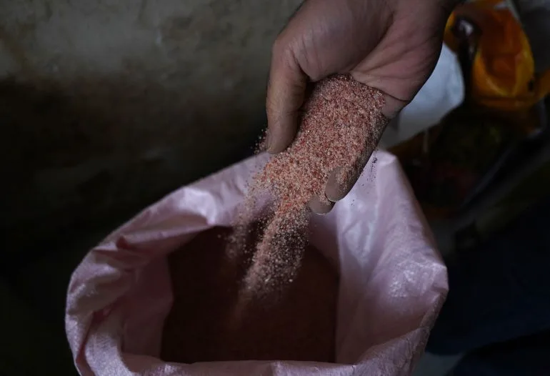 Fertilizer Crisis Casts Shadow Over South Asian Farmers' Harvests