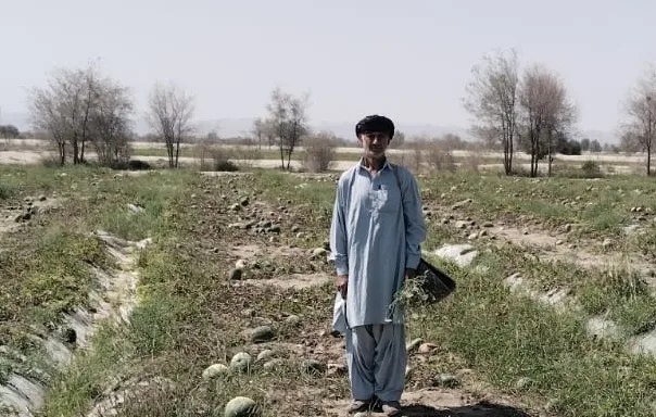Solar Power Rescues Watermelon Farm in Balochistan