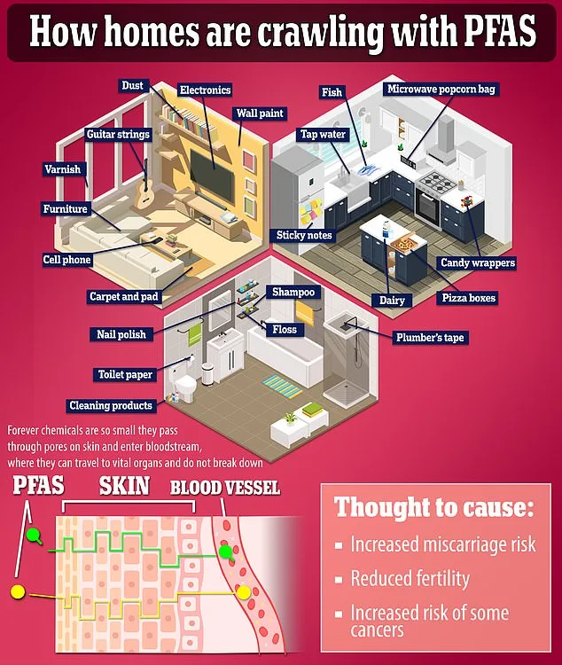 The Hidden Dangers of Everyday Household Items: How Chemicals in Your Home Could Be Harming Your Health