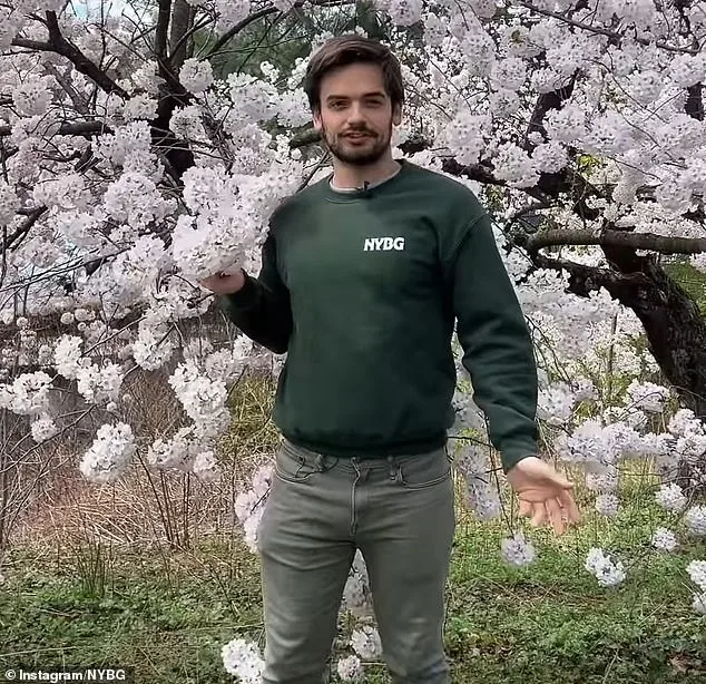 Viral Botanist: New York Garden Curators Go Viral, But Not for Plants.