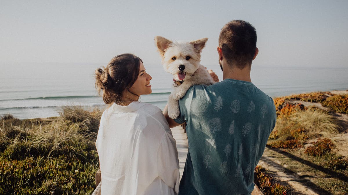 Fabled Voyages Breaks Barrier by Allowing Pets on Residential Cruises